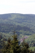 Blick auf Goldlauter