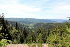 Auf dem Weg zum großen Beerberg