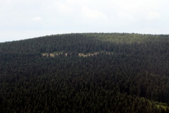 Schneekopf: Blick zum Großen Beerberg