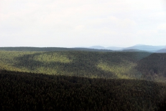 Schneekopf: Blick zum Herrmannsberg