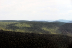 Schneekopf: Blick zum Herrmannsberg