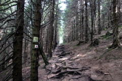 Auf dem Weg zur Teufelskanzel