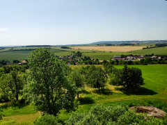 Blick zum Ettersberg