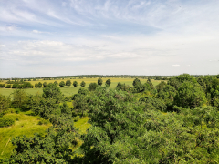 Blick in Richtung Vierzehnheiligen