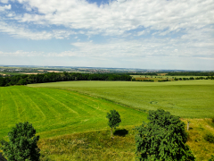 Blick nach Apolda