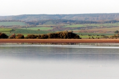 Stausee Kelbra