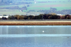 Stausee Kelbra
