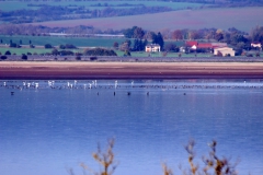 Stausee Kelbra