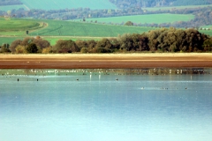 Stausee Kelbra