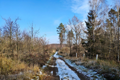 Rund um die Talspeere Zeulenroda