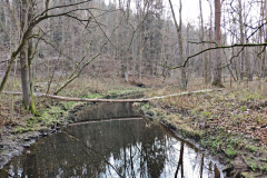 Rund um die Talspeere Zeulenroda - der Fluss Weida