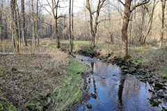 Rund um die Talspeere Zeulenroda - der Fluss Weida