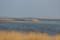 Blick zur Insel Großer Werder