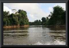 Río Caura