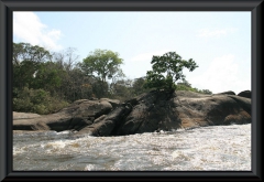 Río Caura
