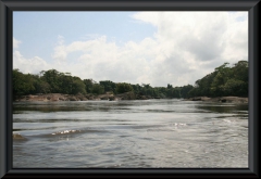 Río Caura