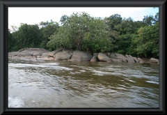 Río Caura