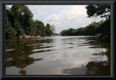 Río Caura