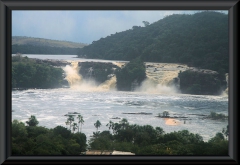 Salto Sapo
