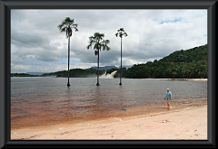 Canaima