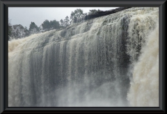 Salto Sapo