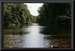 Orinoco-Delta