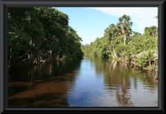 Orinoco-Delta