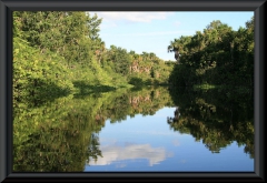 Orinoco-Delta