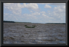 Orinoco-Delta
