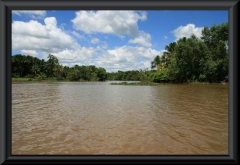 Orinoco-Delta