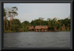 Orinoco-Delta: Warao-Siedlung