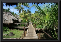 Orinoco-Delta: Abuene-Lodge