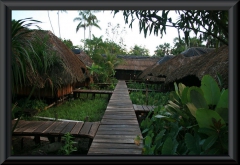 Orinoco-Delta: Abuene-Lodge