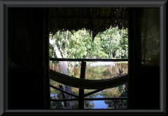 Orinoco-Delta: Abuene-Lodge