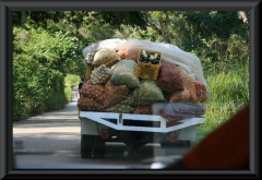 Transportmittel werden voll ausgelastet