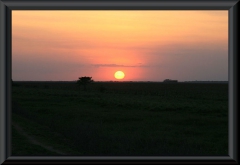 Sonnenuntergang in den Llanos
