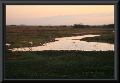 Hato el Cedral