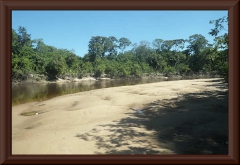 Río Manapiare