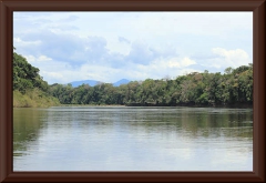 Río Ventuari