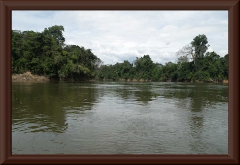 Río Ventuari