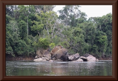Río Ventuari