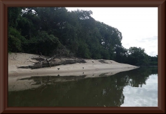 Auf dieser Sandbank hatten wir unser Lager