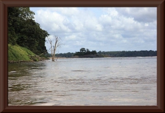 Río Orinoco
