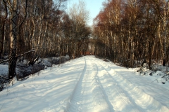 wunstorf-2010-01