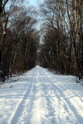 wunstorf-2010-02