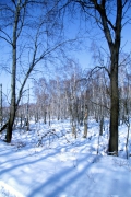 wunstorf-2010-03