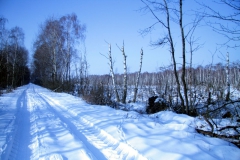 wunstorf-2010-04