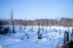 wunstorf-2010-06