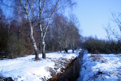 wunstorf-2010-12