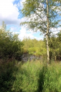 steinhude_20160712_05